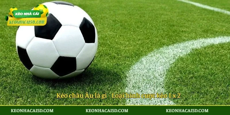 Kèo Châu Âu Là Gì - Hướng Dẫn Cách Bắt Kèo Cực Thơm 2 Kèo châu Âu là gì - Loại hình cược kèo 1 x 2