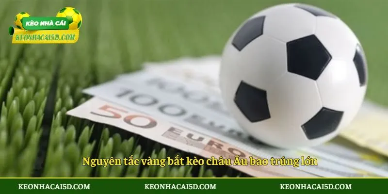 Kèo Châu Âu Là Gì - Hướng Dẫn Cách Bắt Kèo Cực Thơm 5 Nguyên tắc vàng bắt kèo châu Âu bao trúng lớn
