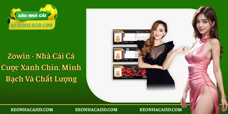 Zowin - Nhà Cái Cá Cược Xanh Chín, Minh Bạch Và Chất Lượng 1 Zowin