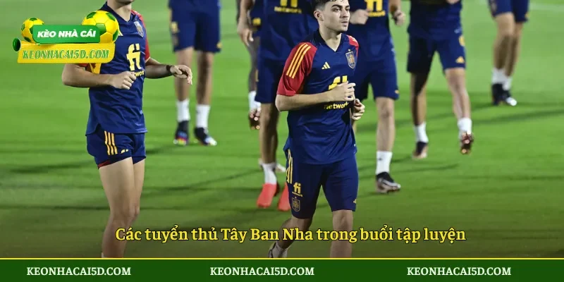 Các tuyển thủ Tây Ban Nha trong buổi tập luyện