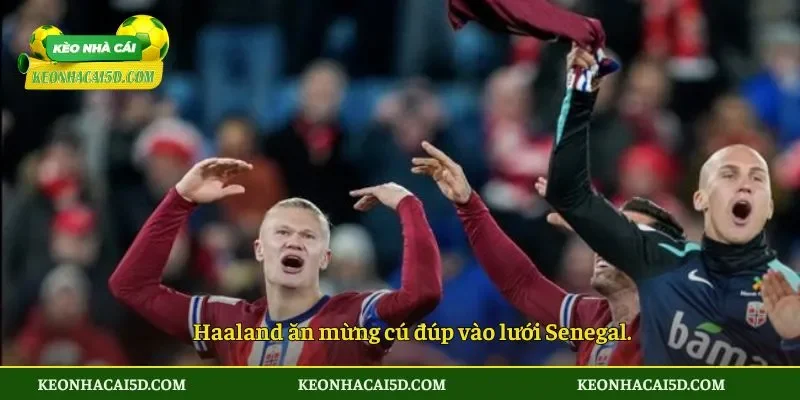 Haaland lập cú đúp đưa Na Uy vào thẳng vòng knock-out 2 Haaland ăn mừng cú đúp vào lưới Senegal.