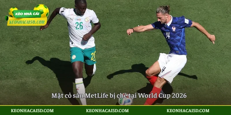 Mặt cỏ sân MetLife bị chê tại World Cup 2026