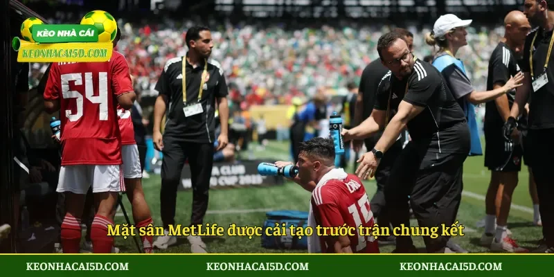 Mặt sân MetLife được cải tạo trước trận chung kết
